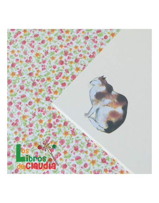 La señora Meier y el Mirlo | Los Libros de Claudia