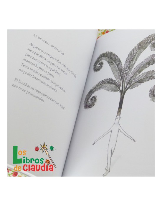 Hermosa soledad | Los Libros de Claudia