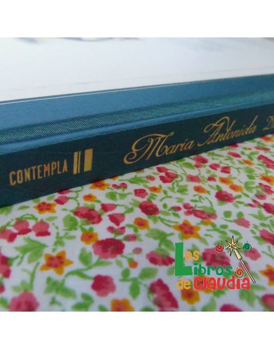 Maria Antonieta – Diario secreto de una reina | Los Libros de Claudia Maria Antonieta – Diario secreto de una reina | Los Libros de Claudia